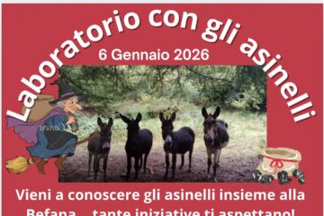 Laboratorio con gli asinelli