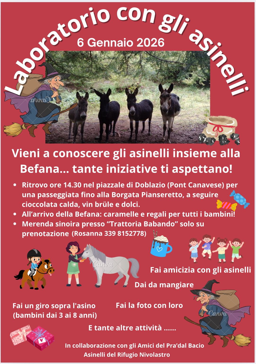 Laboratorio con gli asinelli