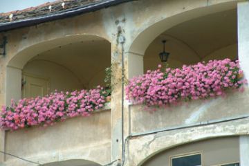 Case di Pont Canavese - Balconi in Fiore